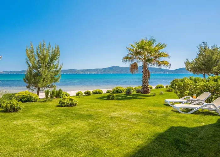 Beachfront Luxe Designer